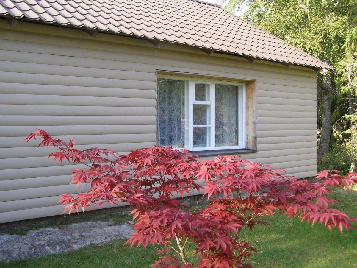 Kipi-Koovi Holiday Centre Kültér fotó